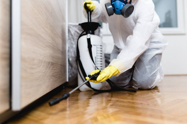 Best Pest Control Near Me  in Frankfort Square, IL
