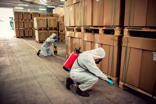 Best Local Pest Control Services  in Frankfort Square, IL