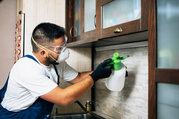 Best Pest Control Near Me  in Frankfort Square, IL