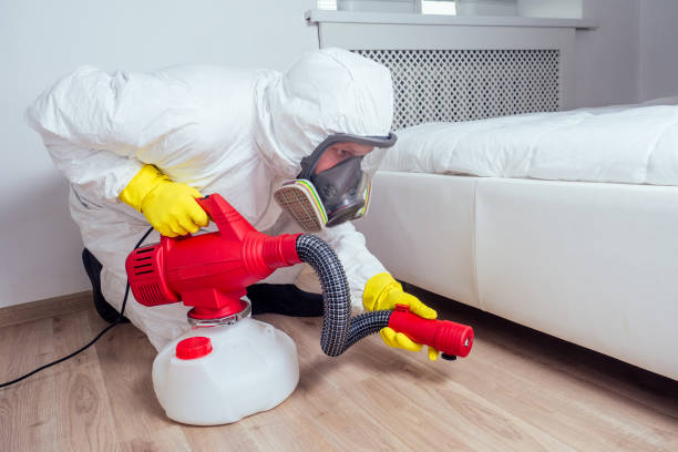 Best Cockroach Control Services  in Frankfort Square, IL