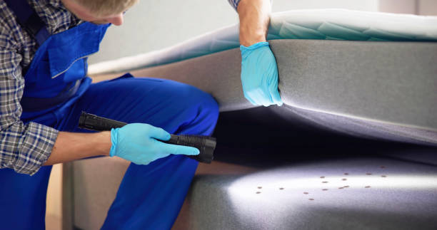 Best Affordable Pest Control Services  in Frankfort Square, IL