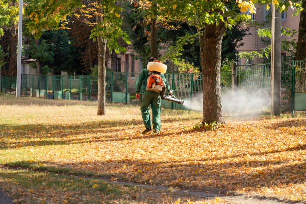 Best Emergency Pest Control  in Frankfort Square, IL