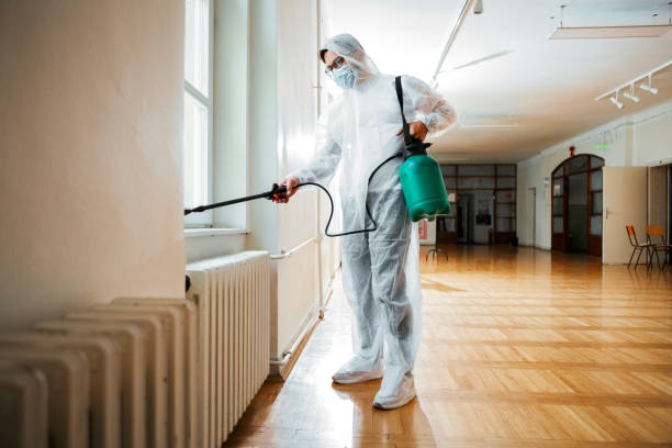 Best Affordable Pest Control Services  in Frankfort Square, IL